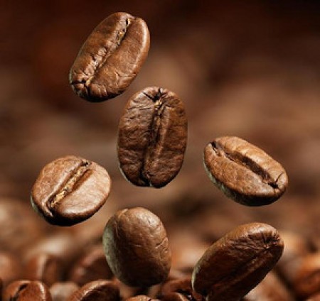 Wild Kopi Luwak 野生麝香貓咖啡 咖啡豆