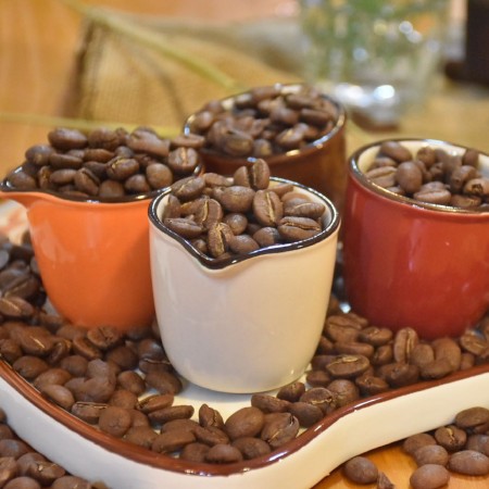 Cala Luna 卡露亞 咖啡豆 
