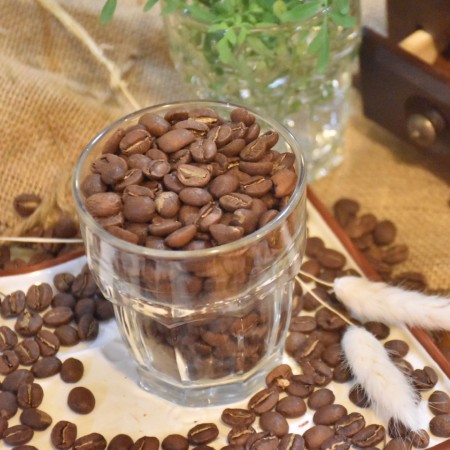 Ethiopia Yirgacvhefee 耶加雪夫 咖啡豆 