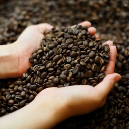 Uganda 烏干達 咖啡豆 