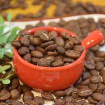 Sumatran Mandeheling 黃金曼特寧 咖啡豆