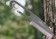 VARGO Titanium Wharn-Clip Knife 全鈦金屬刀