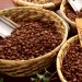 Costa Rica 哥斯達黎加 咖啡豆 100g