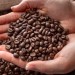 Brazil Santos 巴西山度士 咖啡豆 100g