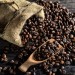 Thalia 坦妮亞 咖啡豆 100g